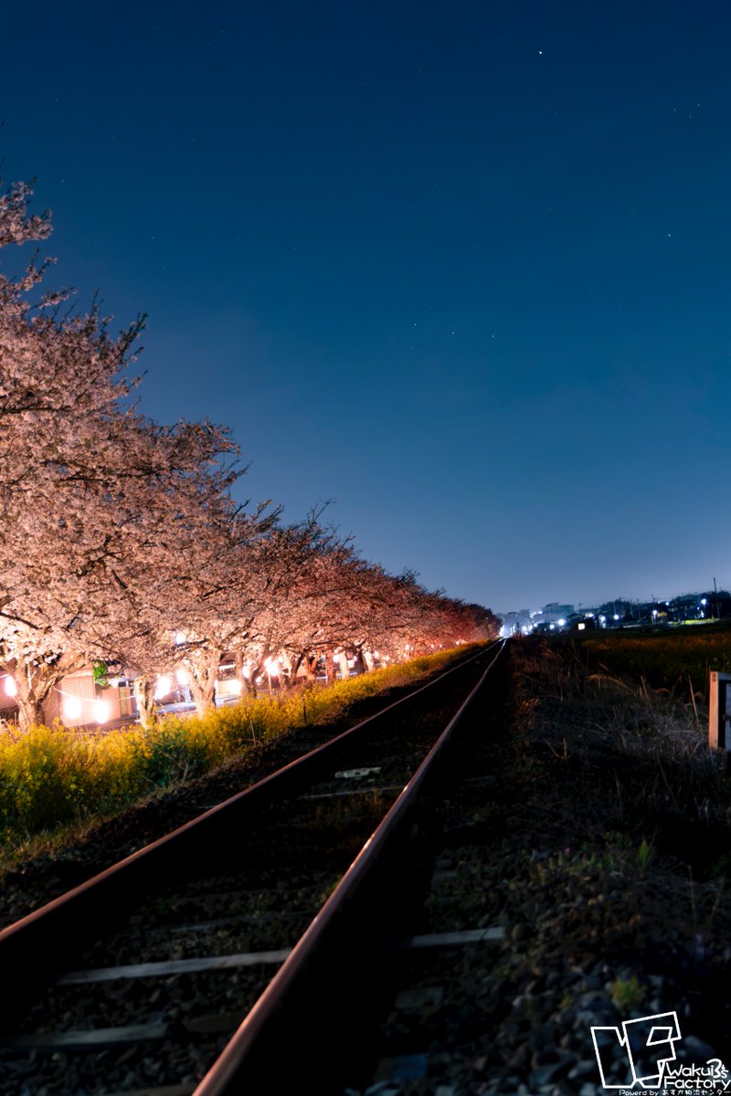 桜と共に冬の星座ももう終盤。
そしてやっと花粉の苦しみからも開放される〜(笑)
w3s-factory.com/2024-04-17/
#真岡鐵道 #オリオン座 #桜