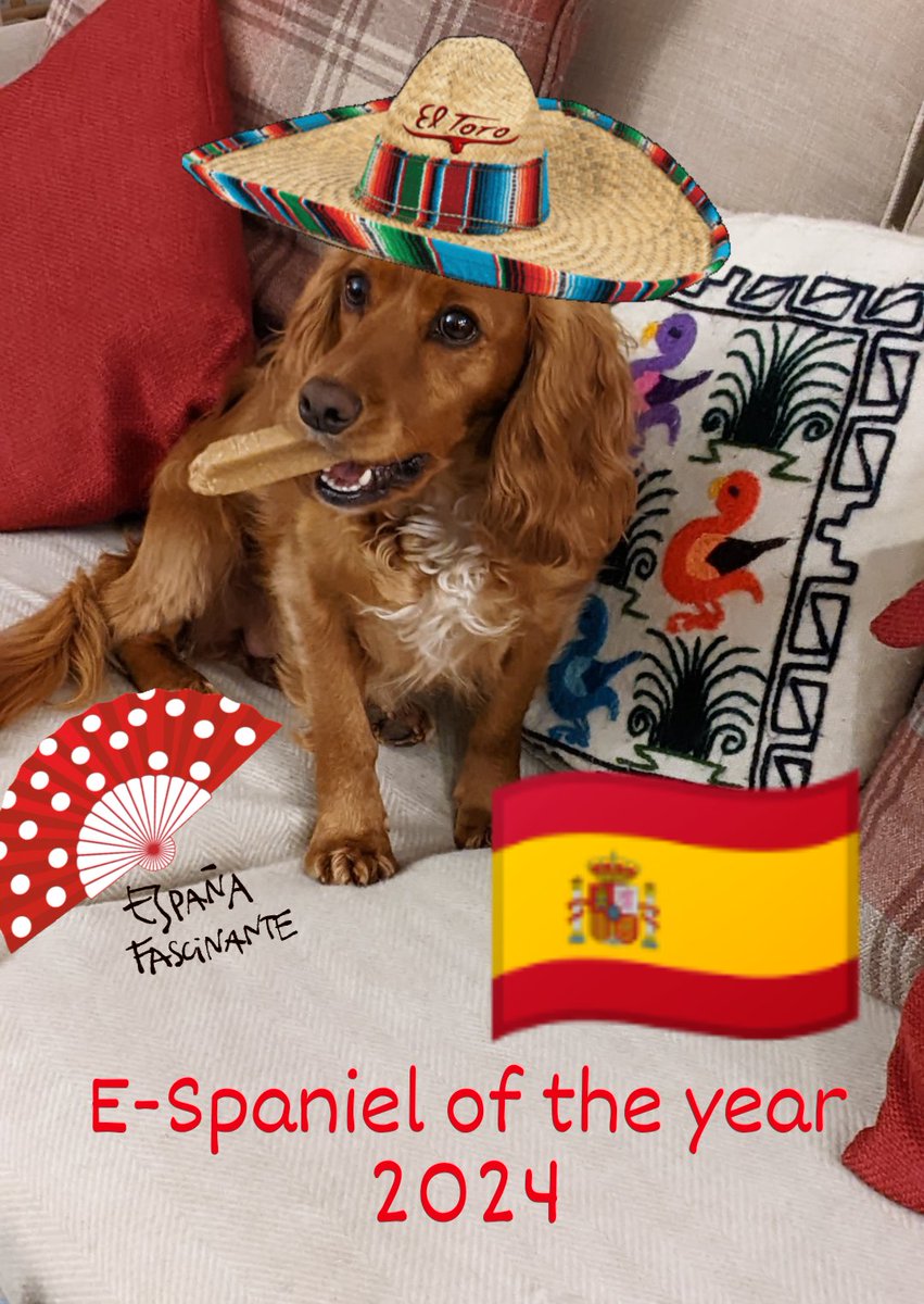 Ruby dog featuring on the coveted E-Spaniel awards which were given out to some of our S4 Spaniards today for their hard work, effort, and patter that has made the class of 23/24 an absolute blast. An enjoyable last day together before study leave starts, you will be missed! 🇪🇸