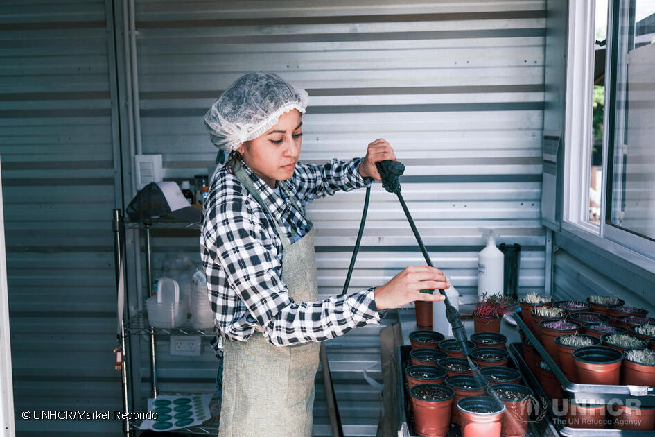 Abelis, a Venezuelan engineer, discovered her passion for urban agriculture in Argentina. As she cultivates microgreens and edible mushrooms, she not only grows food, but also hope and opportunity.✨ bit.ly/3Q0GxPI