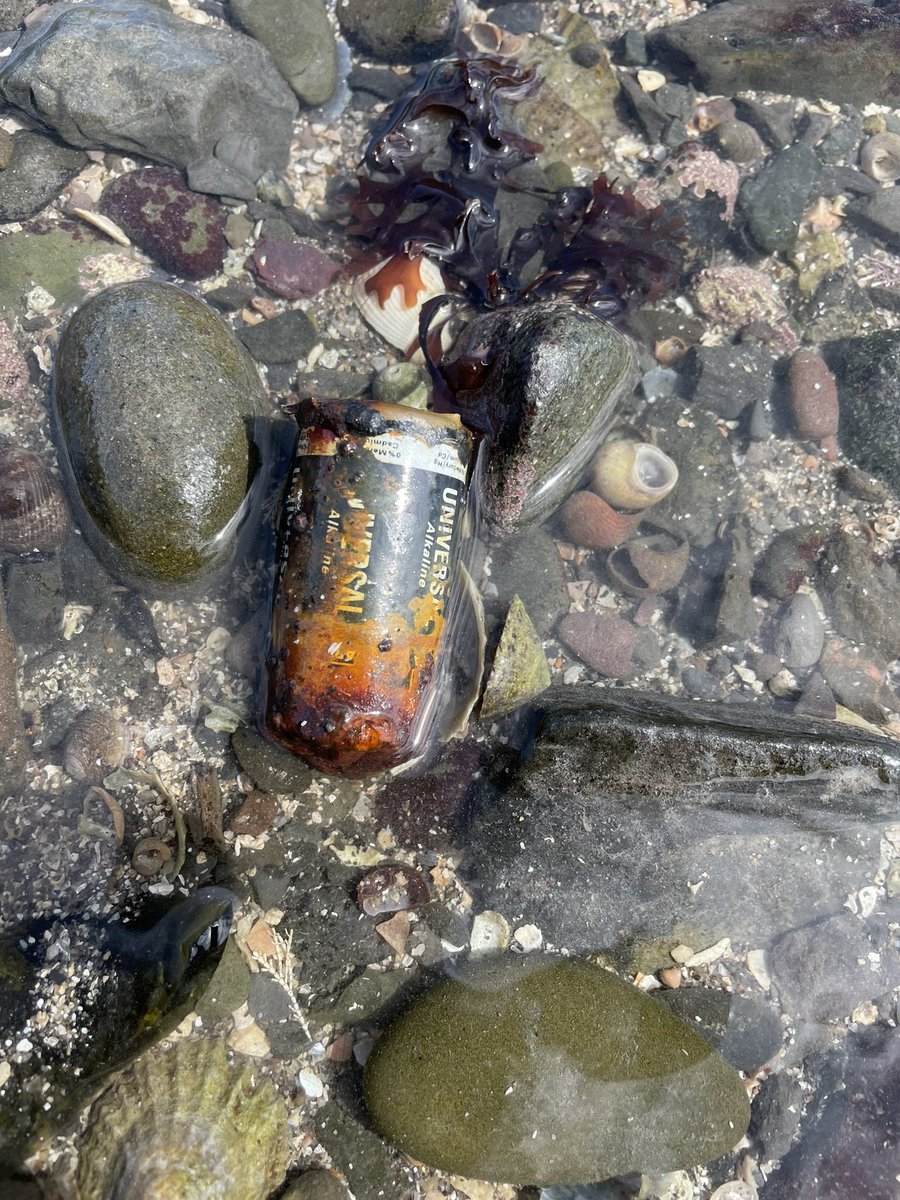 CecilTaise's tweet photo. Eugh I hate finding stuff like this in our seas I put it in a bin hopefully it didn’t harm any sea creatures we can do so much better!!! 
@BeachCleanOrg #cleansea #NorthernIreland #trash #donaghadee https://t.co/3ujY729Rr2