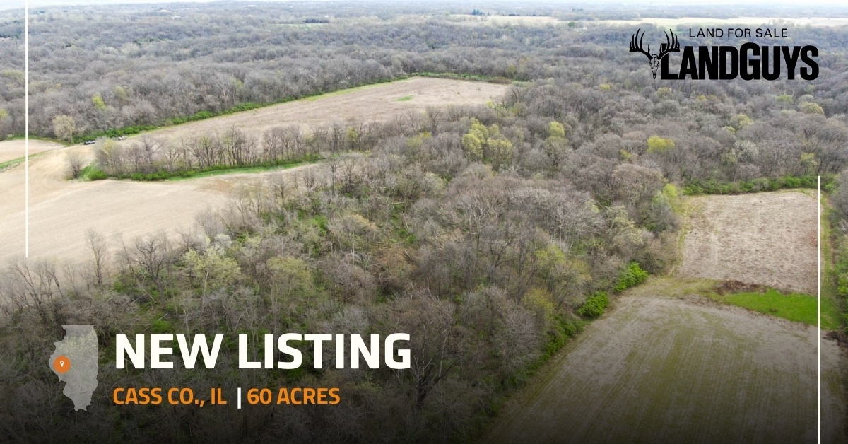 💥New listing!💥 60 acres in Cass County, IL
$375,000 | See more ► landguys.info/casscountyil60…

One of a kind property surrounded by very remote parts of Jim Edgar Panther Creek SFWA.

#LandGuys #LandForSale #PropertyForSale #RealEstate #CassCounty #Income #Huntingproperty
