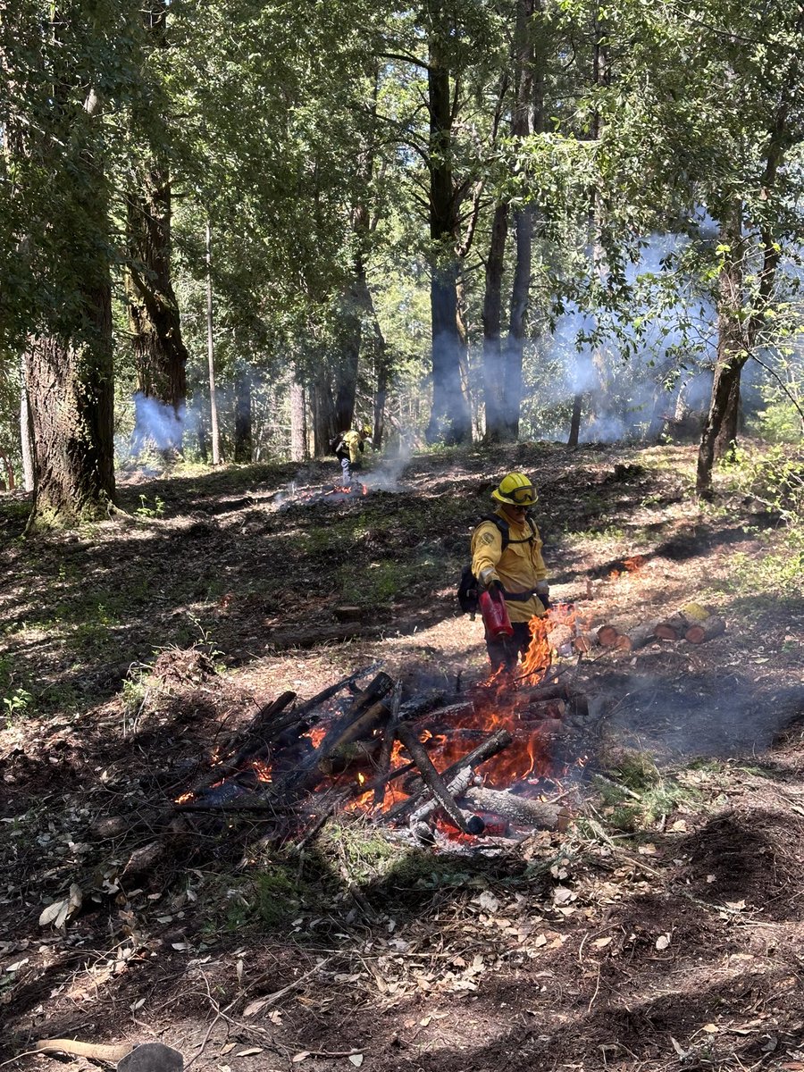 Lower Empire Grade Shaded Fuel Break Pile Burn UPDATE: Yesterday morning, smoke lifted and blew west towards the ocean. Winds shifted early in the afternoon and began blowing south. We stopped lighting piles around noon and piles were extinguished by 2:30pm. (MORE) ⬇️ #CaWx 🔥