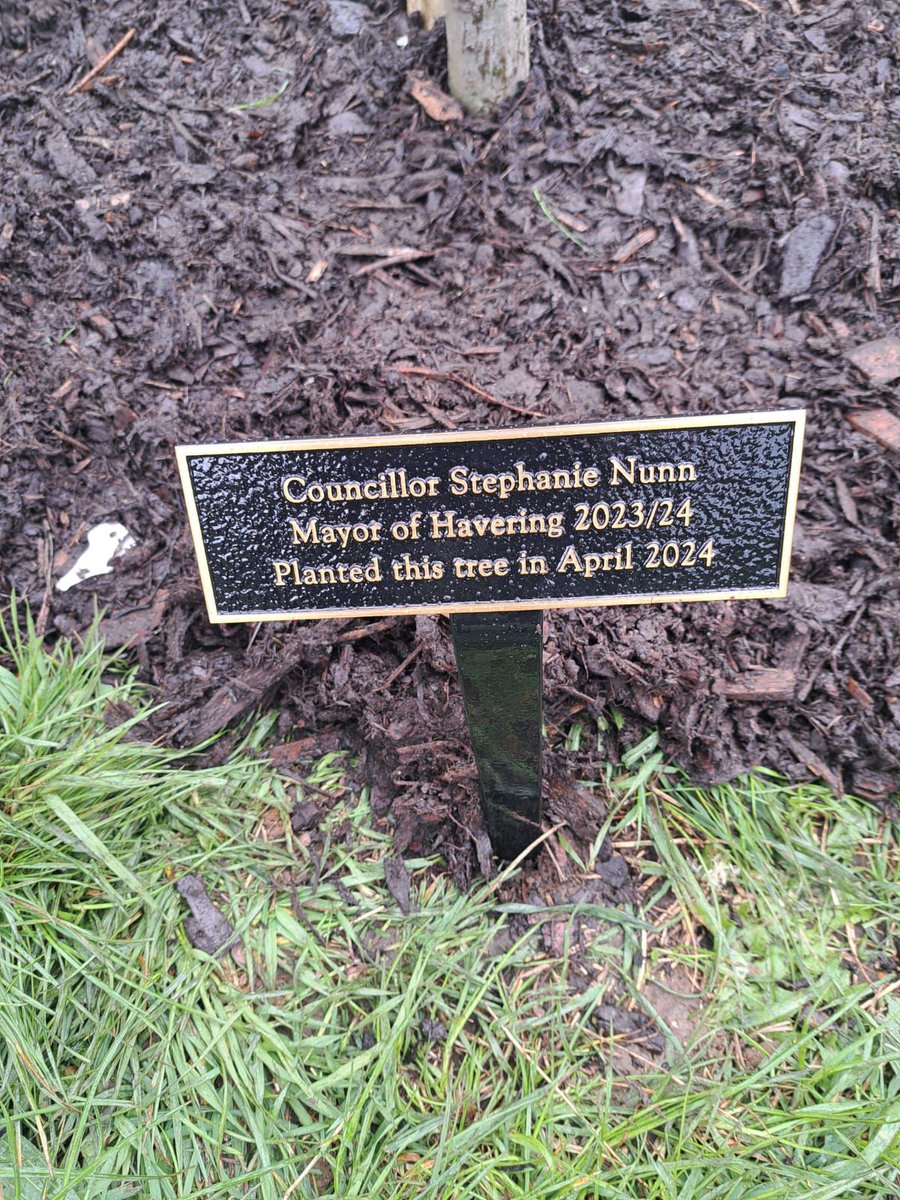 Mayor of Havering tweet media