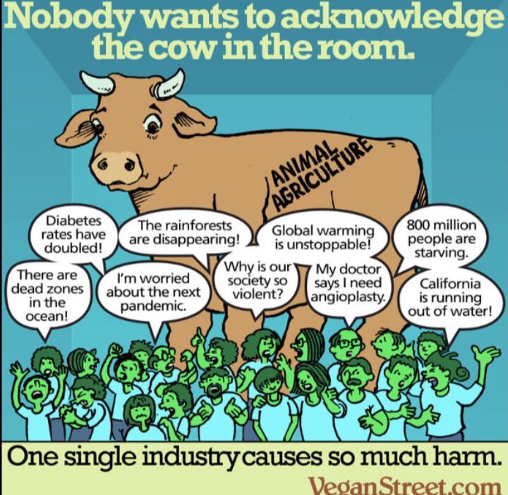 Your regular reminder that ANIMAL AGRICULTURE is the leading cause of:
• #AnimalCruelty
• #Deforestation
• #BiodiversityLoss
• #MarineDebris
• #FreshWaterDepletion
• #OceanDeadZones
• #MoreEmissionsThanAllTransportation
• #EcologicalCollapse

Go Ⓥ #Rewild Brace yourself.