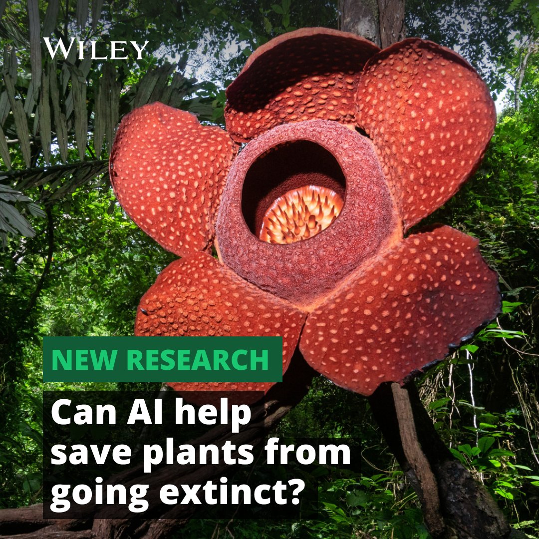 How could #AI help scientists combat plant extinction?

A @NewPhyt study uses AI to gauge extinction threats for 328,565 flowering plant species, aiming to speed up assessments for those not yet evaluated by the IUCN Red List.

More in @popmech: ow.ly/FYPZ50RiaxN