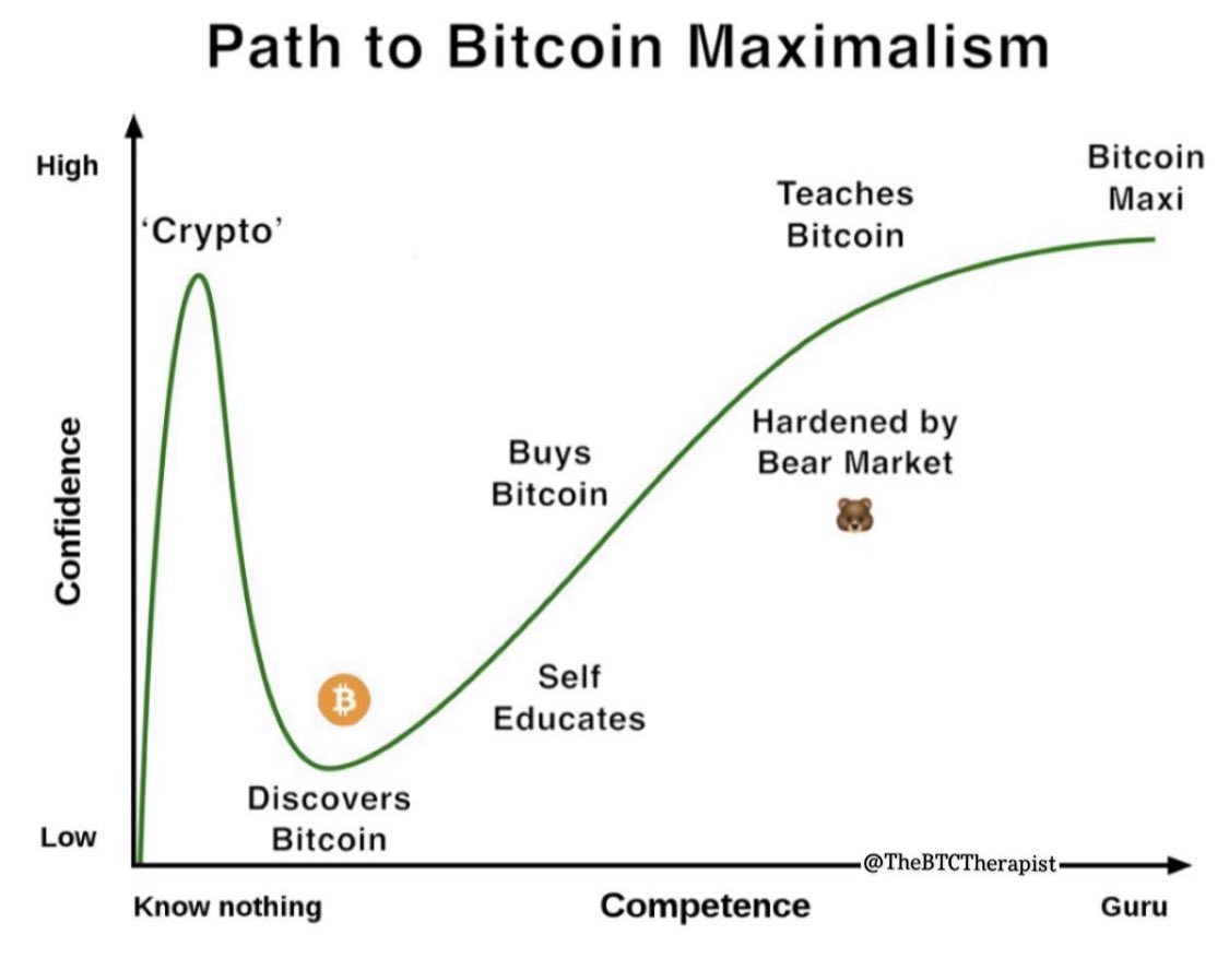 The path to #Bitcoin maximalism
