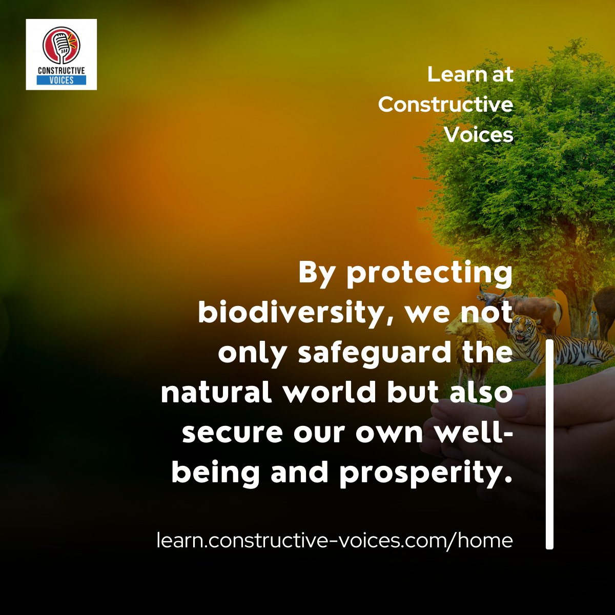 'By protecting biodiversity, we not only safeguard the natural world but also secure our own well-being and prosperity.' #biodiversity #biodiversitynetgain #training - learn.constructive-voices.com/home/