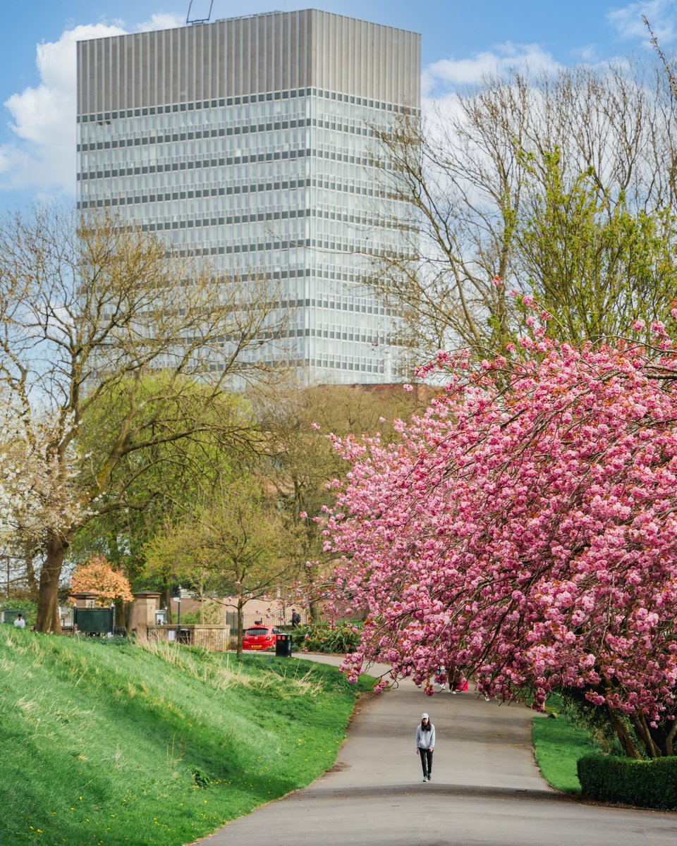 The University of Sheffield tweet media