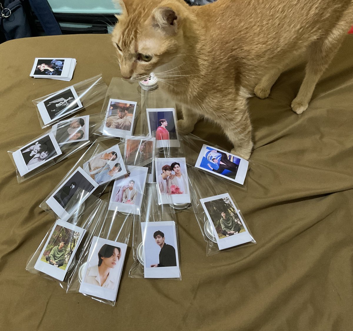 teukrahayuelf's tweet photo. 20&amp;2 TVXQ! in Jakarta Freebies😘

Hello Cassies🫶❤️
I wanna share these little gifts you can get in on:

📍 AROUND HALL 5 ICE BSD City 
🗓 April 20th 2024

Just show me your ticket. Let's meet at the venue 🤗
#TVXQ #TVXQ_20n2_JKT https://t.co/FHBeYGlqXT