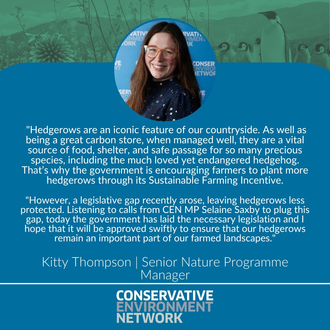 🚨 CAMPAIGN WIN: @DefraGovUK is introducing new legislation to protect our hedgerows. CEN MP @SelaineSaxby called for these new protections, which will put baseline hedgerow management practices into law. Read CEN's @kittyraethomp reaction: 👇