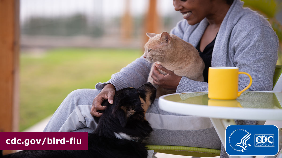 Pet Owners: Did you know that #birdflu viruses have rarely infected domestic animals, such as cats and dogs? Pets that have close contact with infected birds & other animals could be infected with #birdflu. More on how to prevent the spread of bird flu: bit.ly/3pnnWTb