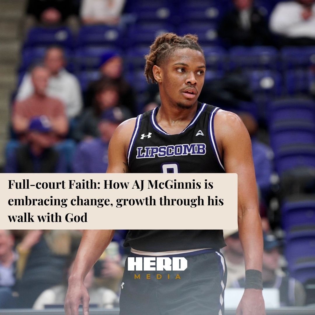 Herd Media tweet media