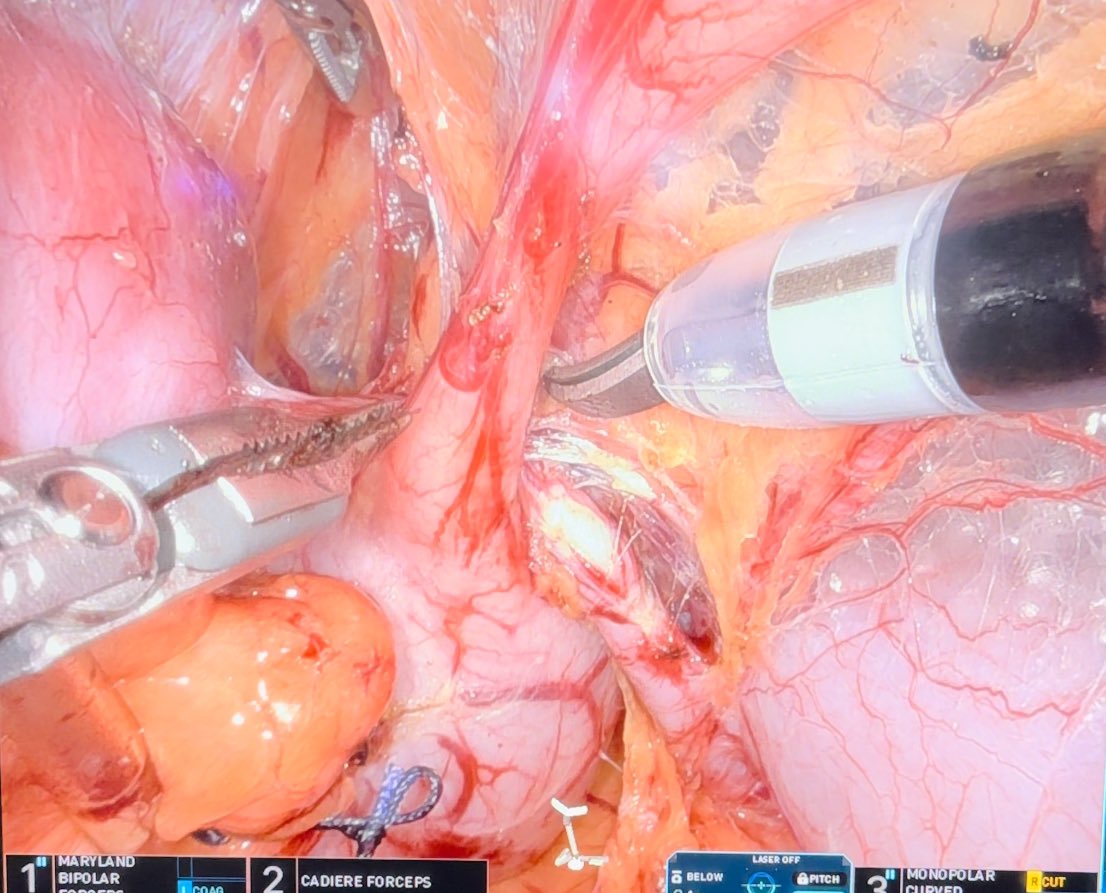 Mutahar Ahmed tweet media