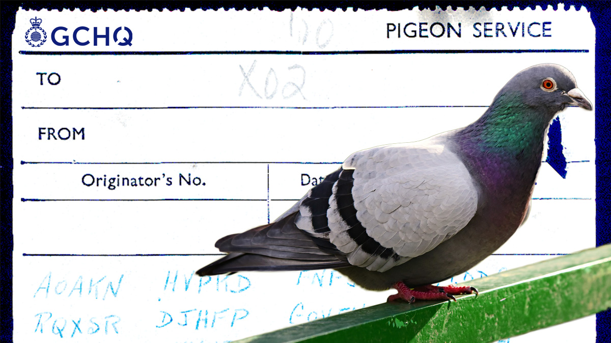 A carrier pigeon skeleton was discovered in the chimney of a house in Surrey along with a secret message. The 'Pigeon Service' message was found in a small red canister still attached to the pigeon's leg bone. But it can never be solved... ➡️ gchq.gov.uk/information/pi…