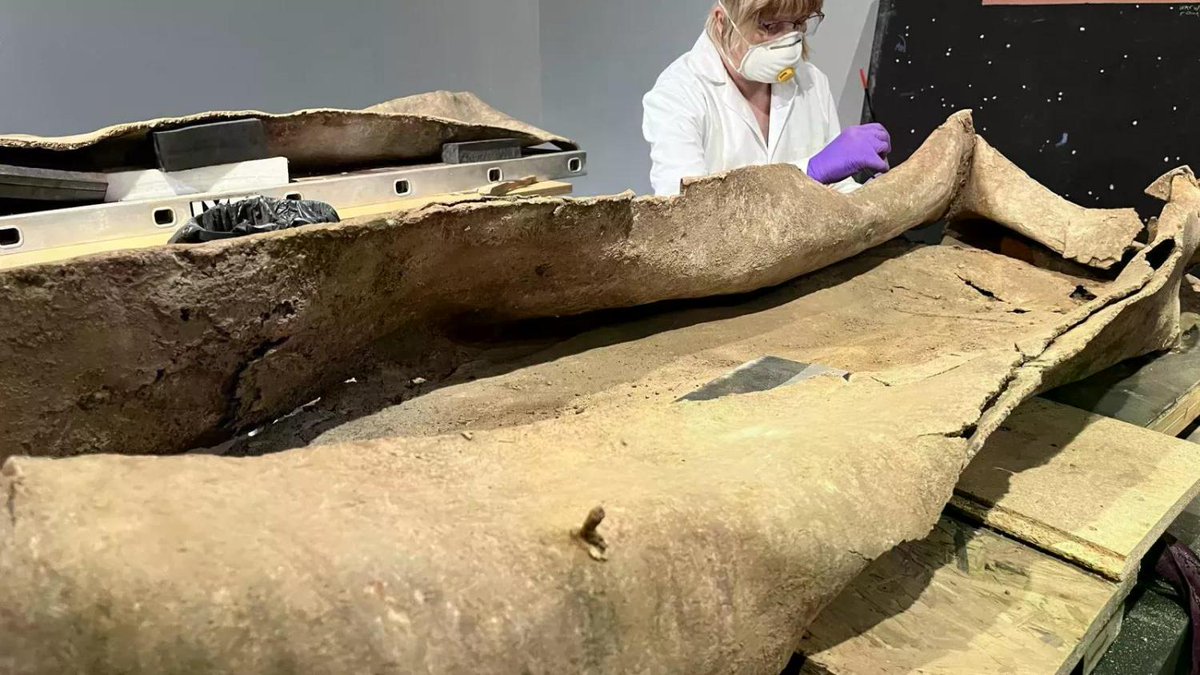 'Truly unique' Roman lead coffin found to contain child's remains newsweek.com/truly-unique-r…