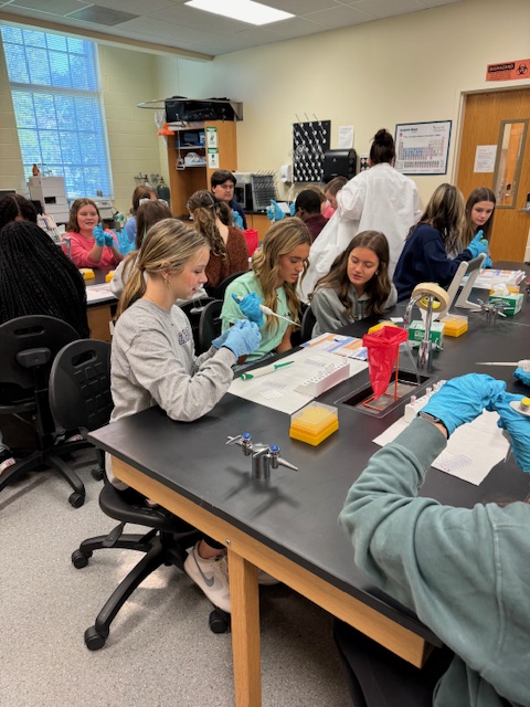 East Gaston CTE Department tweet media