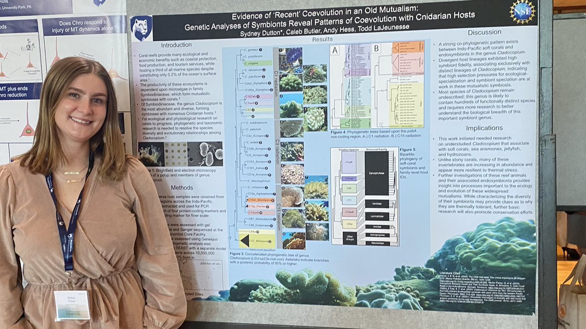 The LaJeunesse Lab (@symbiodiniaceae) on Twitter photo Our awesome undergraduate Sydney Dutton presenting a research poster at the Penn State Undergraduate Exhibition on her work finding new patterns of co-evolution between Cladocopium and their hosts! <a href="/PSUScience/">Penn State Eberly College of Science</a> <a href="/PennStateBio/">Penn State Biology</a> <a href="/huckinstitutes/">Huck Institutes</a> @CalebCButler <a href="/LajeunesseTodd/">Todd C. LaJeunesse</a> Our awesome undergraduate Sydney Dutton presenting a research poster at the Penn State Undergraduate Exhibition on her work finding new patterns of co-evolution between Cladocopium and their hosts! <a href="/PSUScience/">Penn State Eberly College of Science</a> <a href="/PennStateBio/">Penn State Biology</a> <a href="/huckinstitutes/">Huck Institutes</a> @CalebCButler <a href="/LajeunesseTodd/">Todd C. LaJeunesse</a>