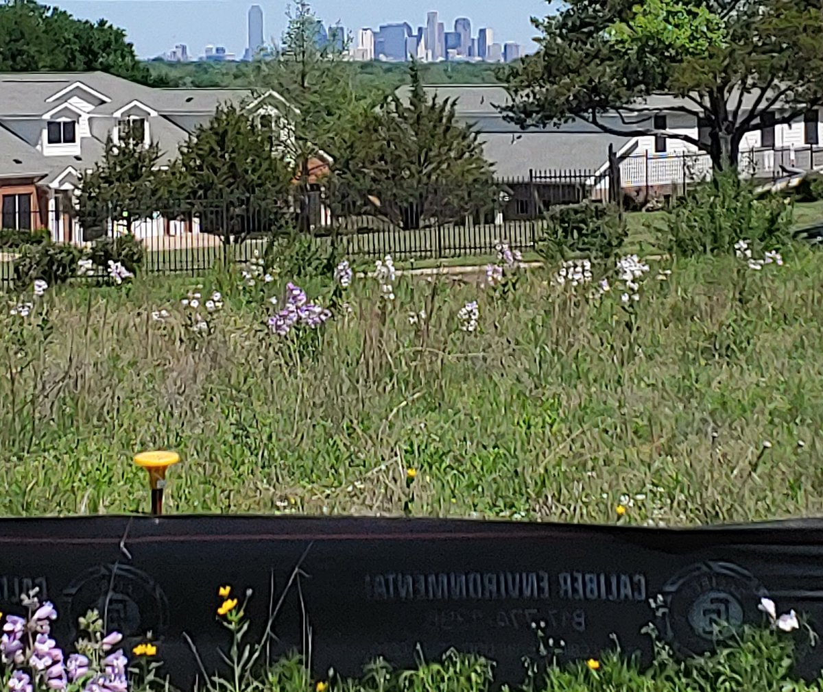 A few citylink team members enjoyed a tour of South Oak Cliff Rennaissance Park and Judge Charles R Rose Park with our friends at @tpl_org. The view of the Dallas skyline is terrific from the future site of the State Farm Outdoor Classroom!