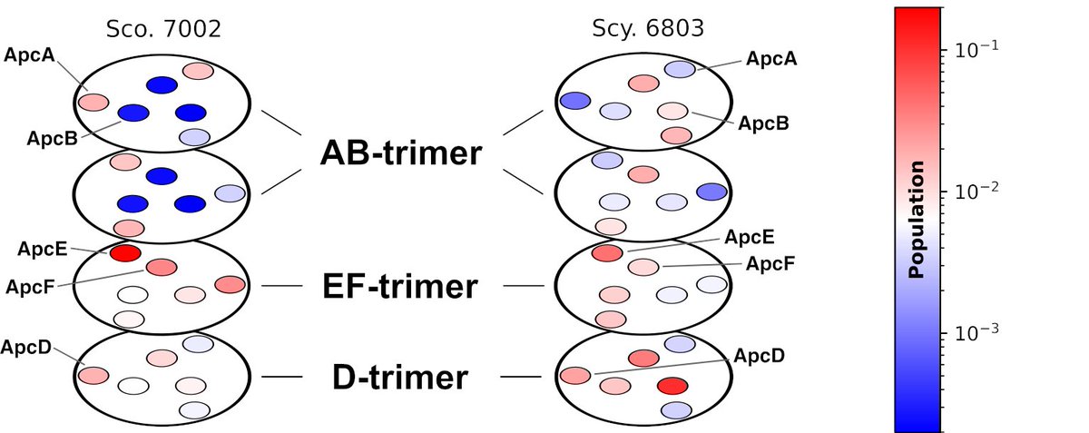 Lorenzo Cupellini tweet media