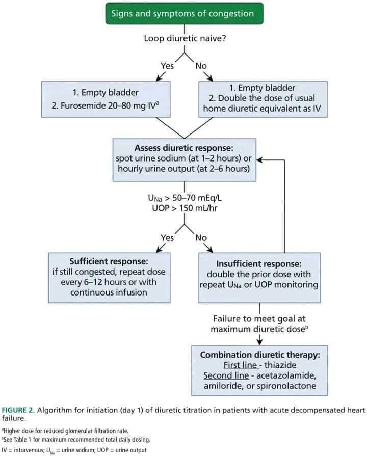 🔴 How do we maximize diuresis in acute decompensated heart failure? #openaccess  #2023review 

ccjm.org/content/89/10/…
 #Cardiology #CardioTwitter #FOAMed #MedEd #meded #MedX #cardiovascular #MedTwitter #cardiotwitter #medtwitter #cardiotwiteros #CardioEd #paramedic #cardiology