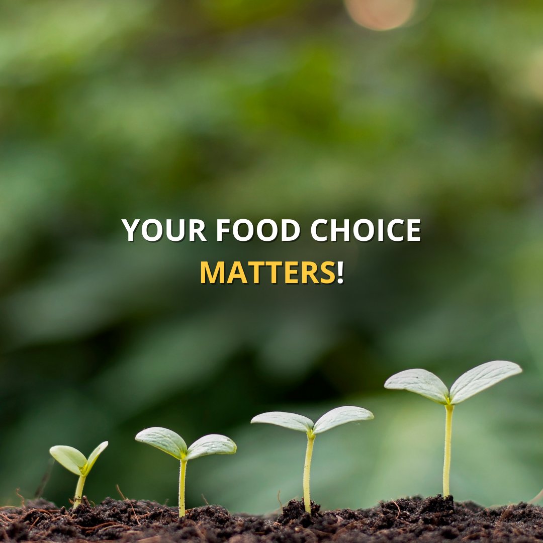 🌱Your diet can reduce climate change!🌍 Recent research reveals that plant-heavy flexitarian diet is as a powerful solution 📉 Eating more plant-based food we can limit greenhouse gas emissions and free up agricultural land for more sustainable use. The research also suggests