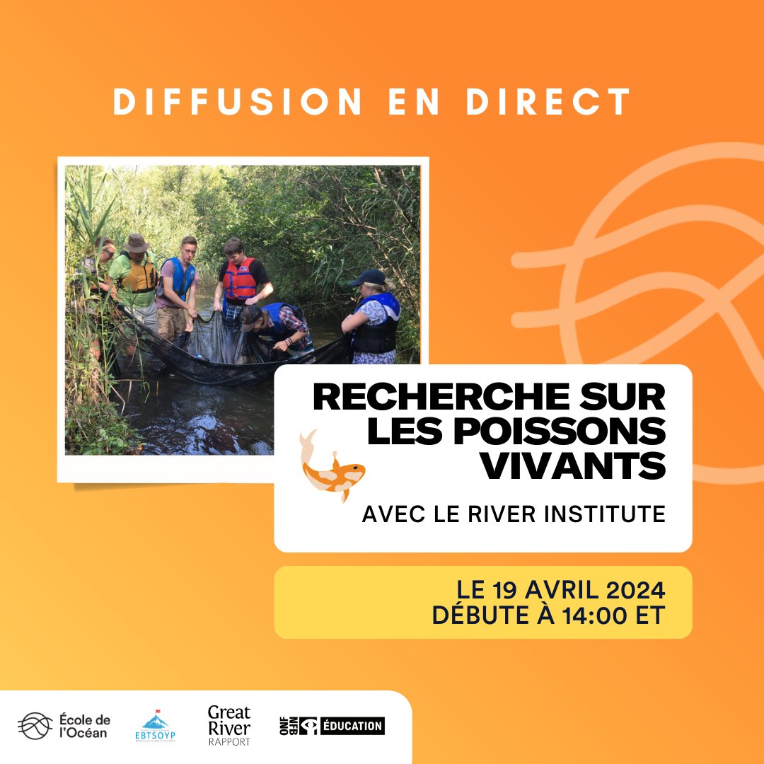 École de l’Océan 🐋 tweet media