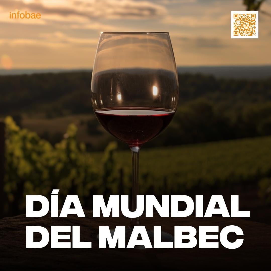 BattiAgro's tweet photo. Feliz día a los enólogos que pusieron en la consideración mundial esta cepa que nos identifica https://t.co/Xu8GIHAM1Y