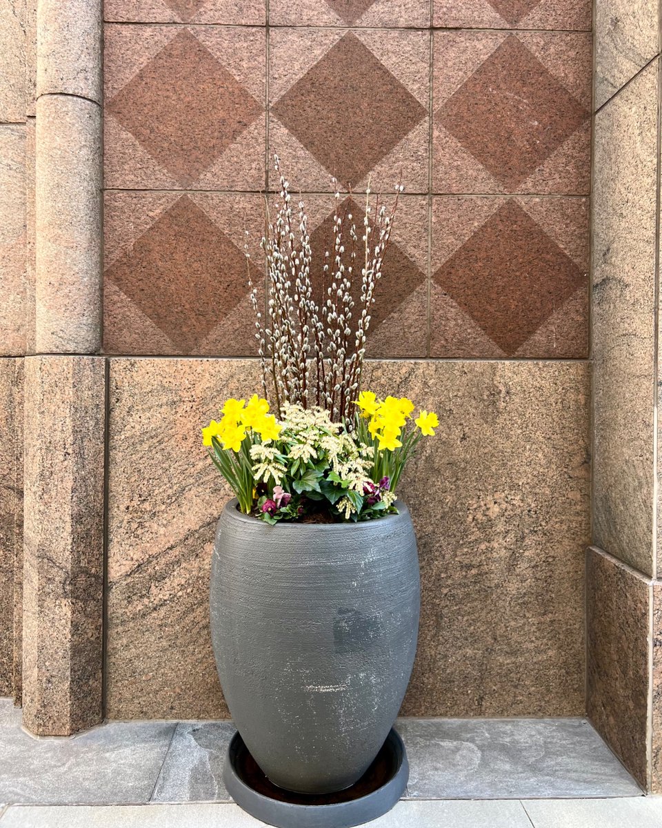 Up close and personal with our vibrant exterior planters, adding a burst of color to every corner! 🌿🌼 #Cityscapes #BiophilicDesign #Biophilia #ExteriorPlants Plants #Boston #VisitBoston #GreenSpaces #VerticalSpace #BringNatureIndoors #InteriorDesign #ExteriorLandscaping