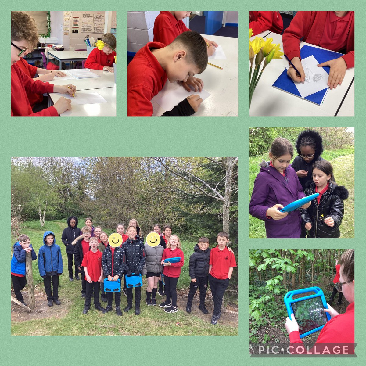 Lliswerry Primary tweet media