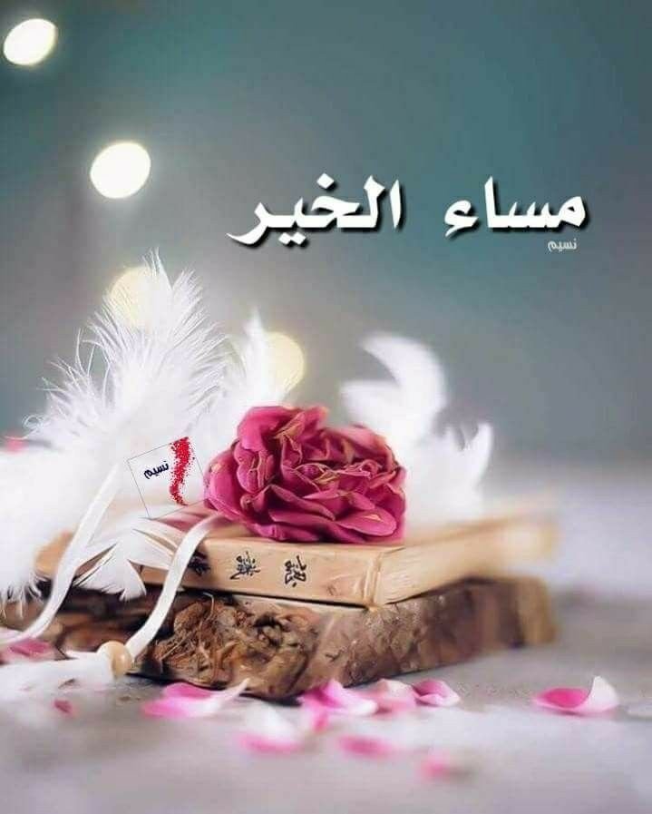 #دعم تابعوهم يتابعوكم👌 💯 @zzzz___11s @sym16951221 @ASNFMN @seko_kassem @emadhadad712 @fkryh3226 @ABYllRl @s65813 @alshami55_15 @mmilk0090 @walidspa5 @JammanRj @binzood1 @Abir35777 @Yoesf99999 @zezoo4433 @binzood @bia_0003 @Riya_Shankar60 @mjahd_al35044 @Parody_Writeer @Aeeee511