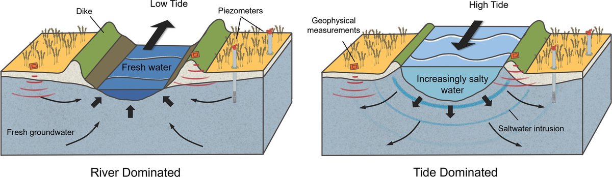 DalHydro's tweet image. Congrats to Hayden on the publication of his PhD paper investigating impacts of a (macro) tidal bore on present and future groundwater salinity distributions @DalGeoProf #numericalmodeling #geophysics sciencedirect.com/science/articl…