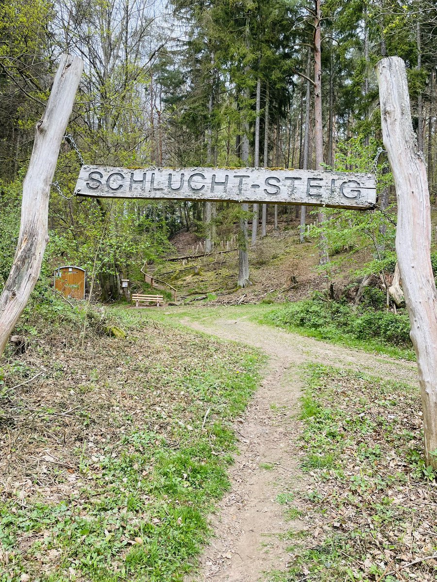 joadoit's tweet image. Am Montag war es noch schön bei meiner Wanderung am Schlucht-Steig. Ab Dienstag nur Sturm und viel Regen