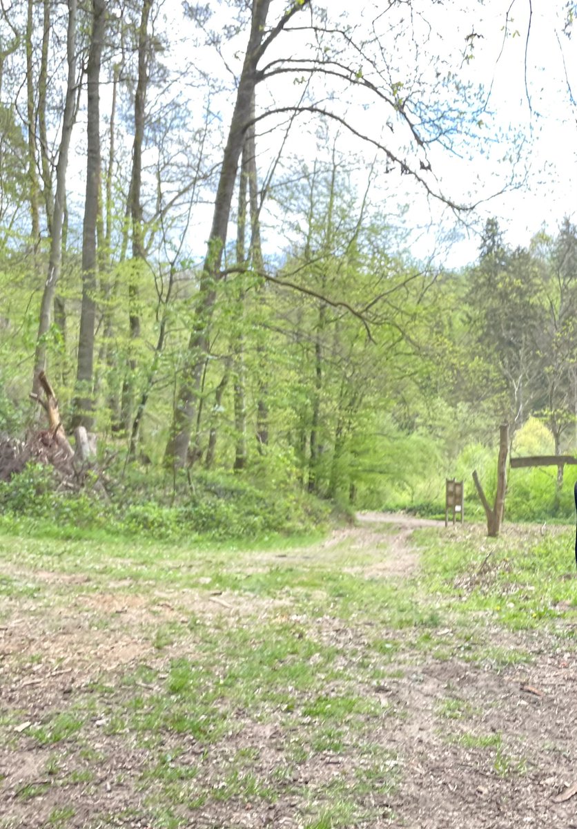 joadoit's tweet image. Am Montag war es noch schön bei meiner Wanderung am Schlucht-Steig. Ab Dienstag nur Sturm und viel Regen