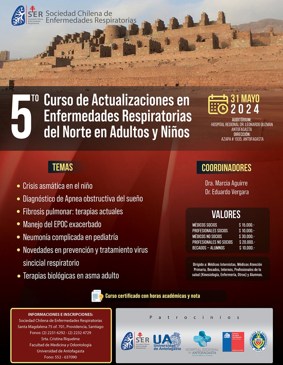 SerChile tweet media