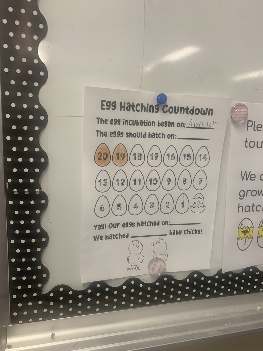 Cynthia Fillier tweet media