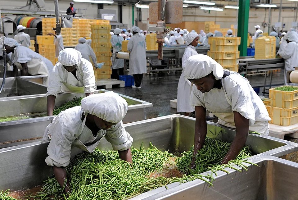 Contre la Faim et la Malnutrition tweet media