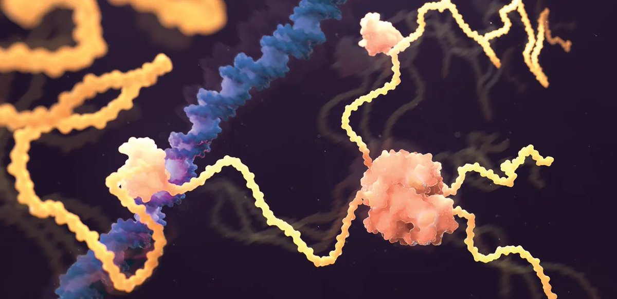 Protein folding is so important. In 2023, DeepMind won the $250,000 Lasker award for their solution to the problem. A lot of people have asked me to explain protein folding in simple, understandable terms. Here is my attempt at explaining just the problem. 🧵OPEN THE THREAD🧵