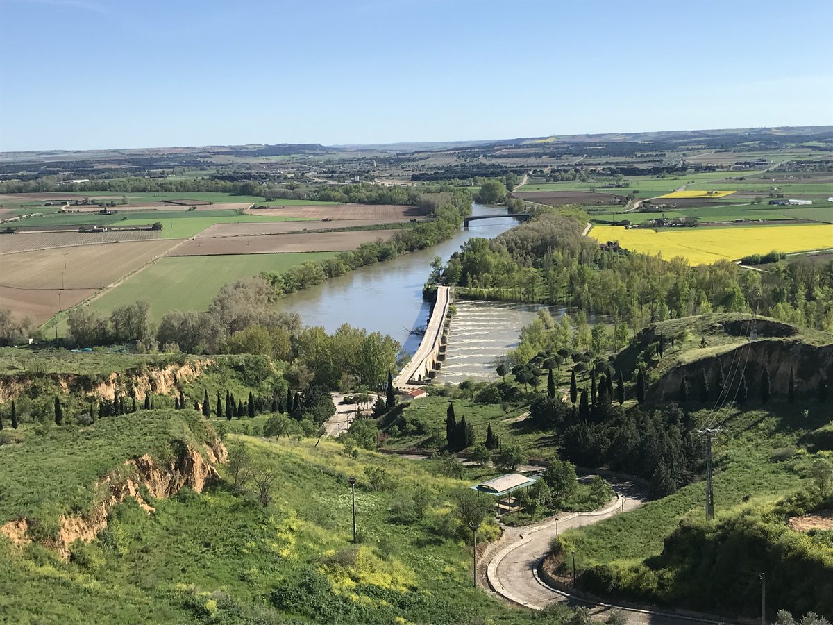 British Archaeological Association tweet media