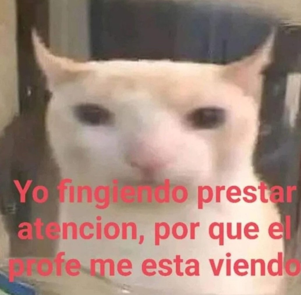 kimx_os0's tweet image. 