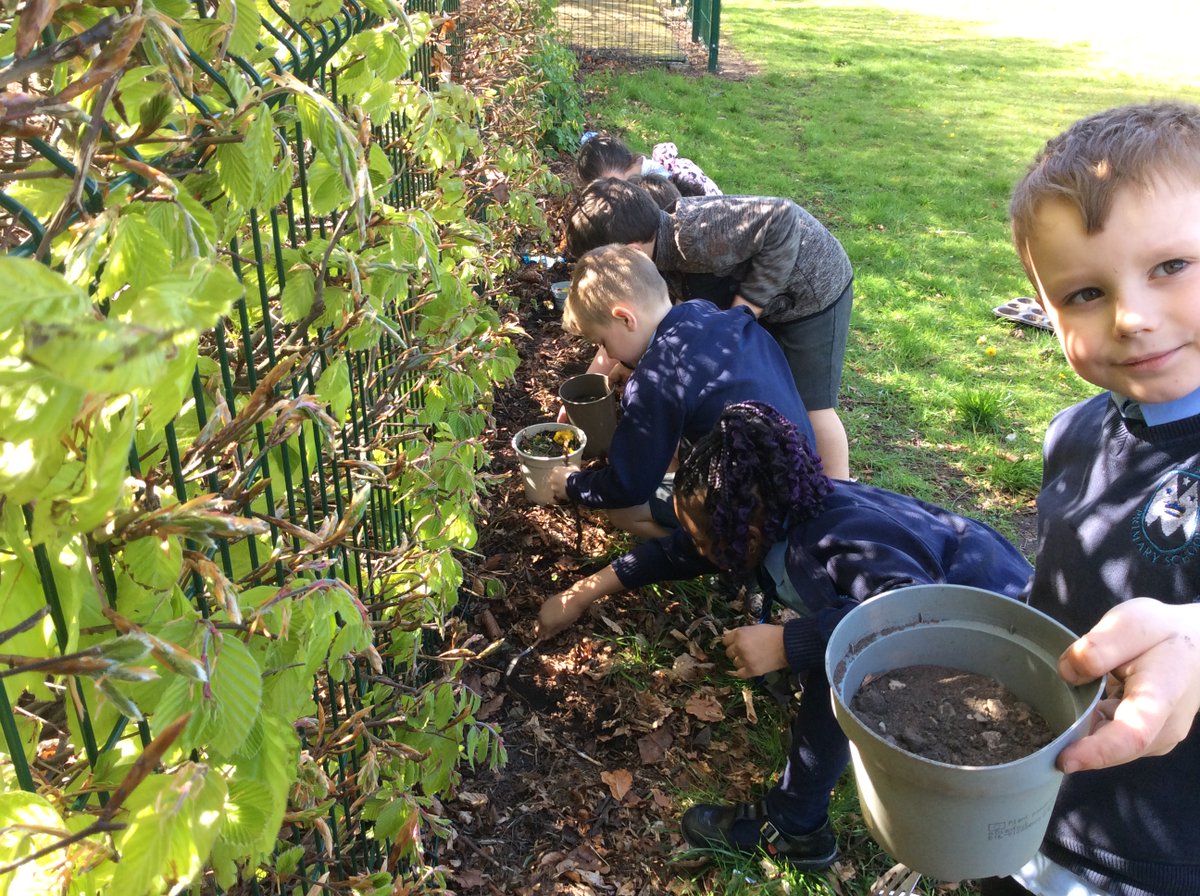 Outstanding #OPAL time spent with pupils from KS1 creating personalised planters! We look forward to monitoring their progress over the coming weeks 🐞🍃☀️