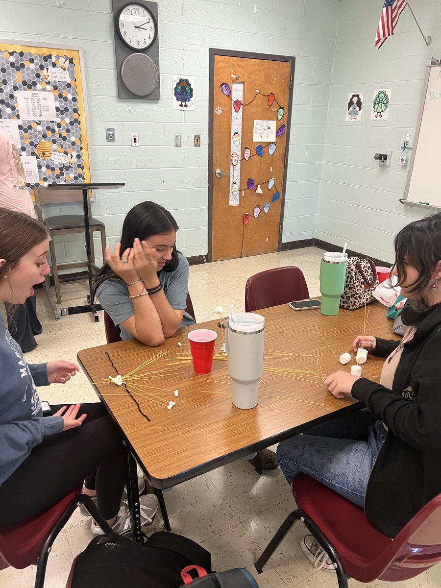 DCHSMrsAkins tweet media