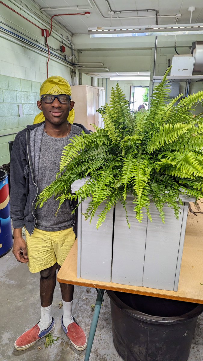 Cayuga Secondary School tweet media