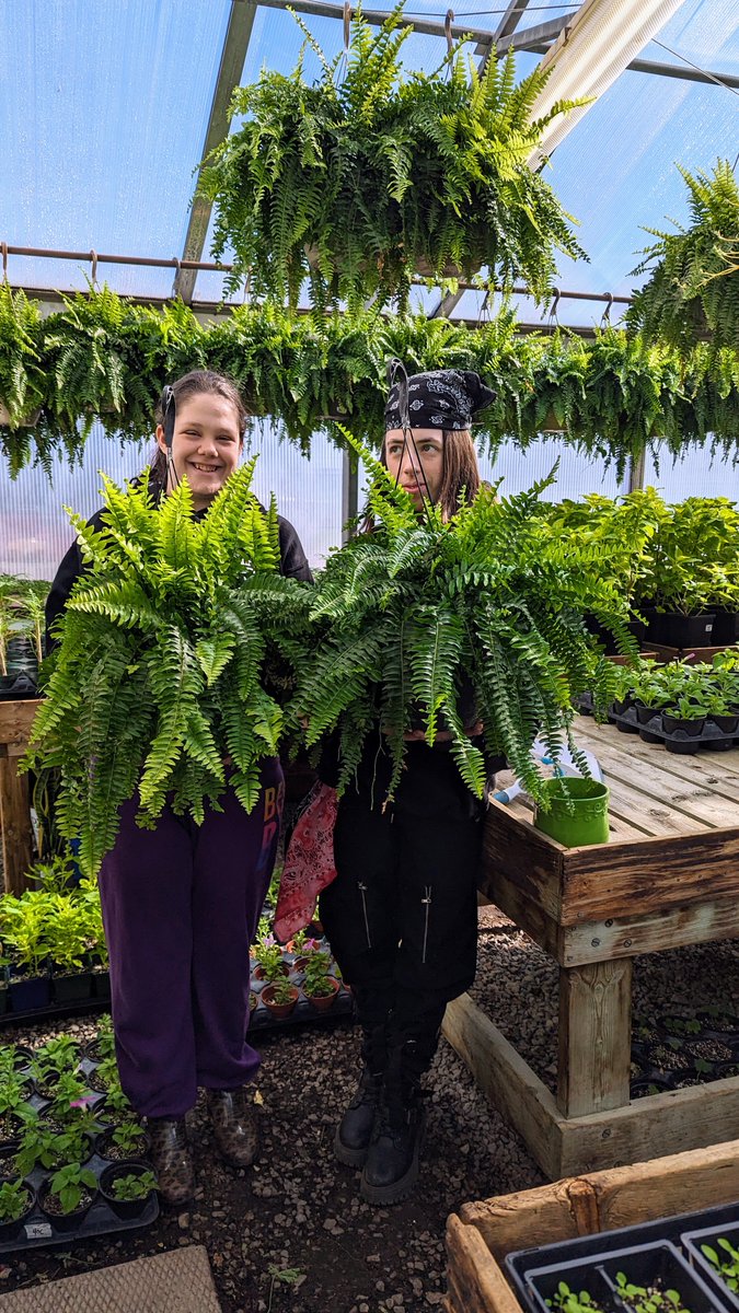 Cayuga Secondary School tweet media