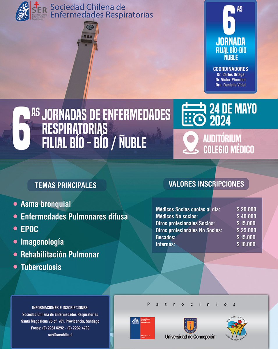 SerChile tweet media