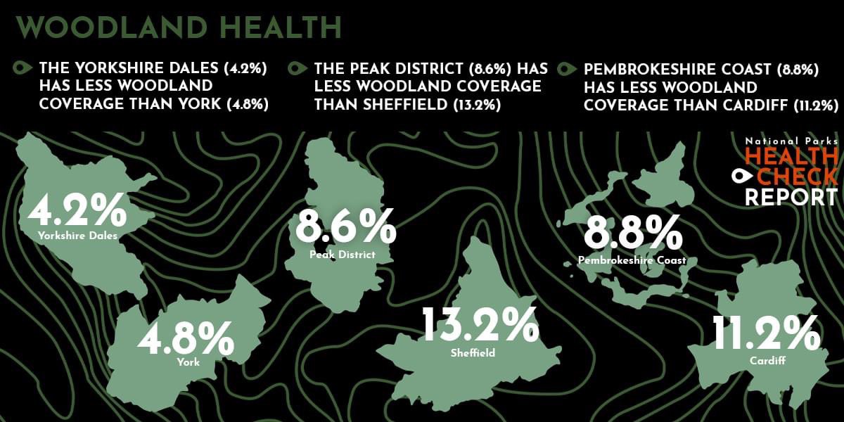 The Yorkshire Dales had 96% tree cover when humans first arrived 11,000 years ago. It now has 4.2% tree coverage. That’s less than York. I plant a deciduous tree in the Dales for every Corporate Team Day we do. So far, I’ve planted 188 trees. teamwalking.co.uk/outdoor-team-b…