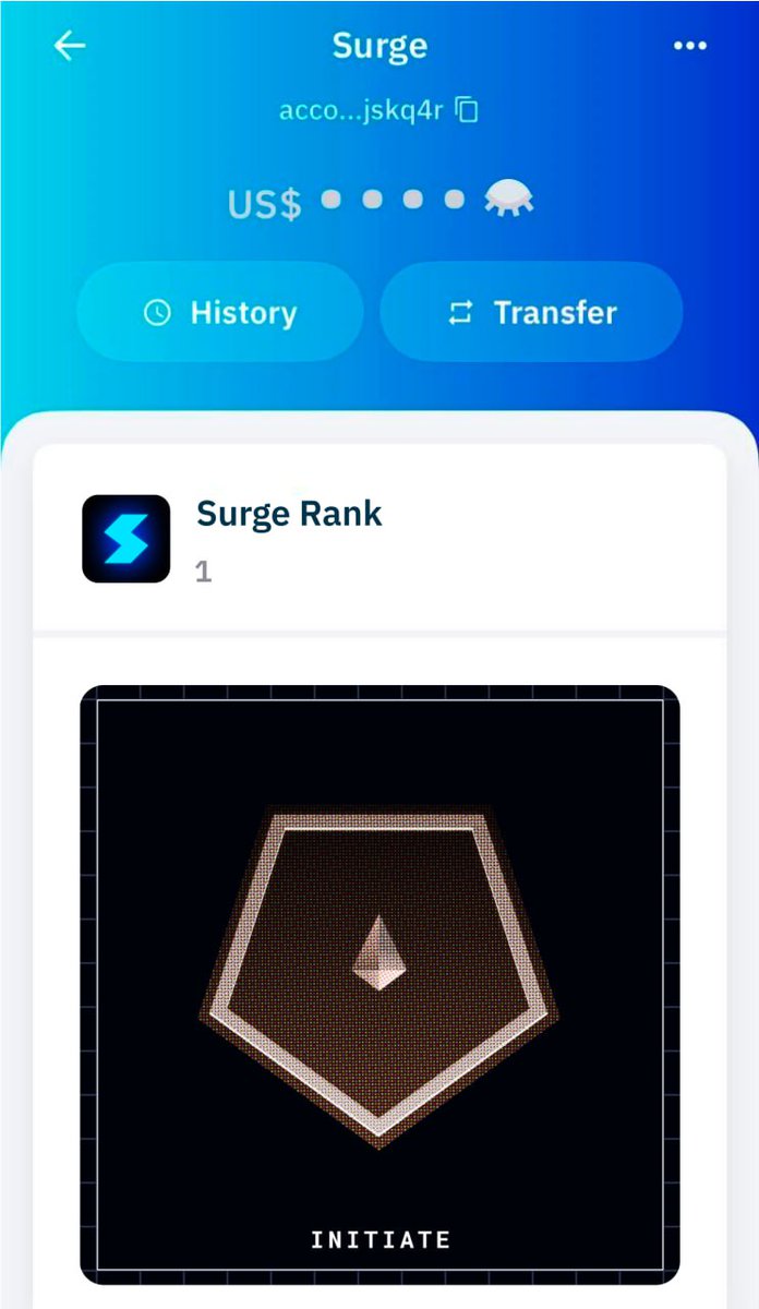 The Initiate Rank - humble and understated, but one that conveys the most respect. For those insurgents have the courage to take the first step, without knowing the path ahead 🎖️

Enlist at surge.trade and be ready to #leadthecharge