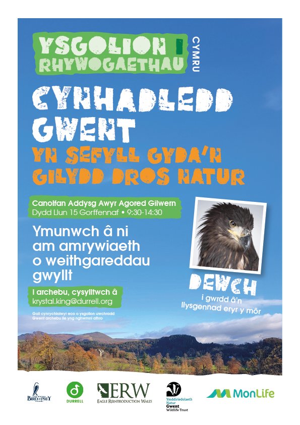 Are YOU a secondary school in Gwent? Calling for students to attend @DurrellWildlife Schools4Species conference. This activity filled day aims to connect students with Welsh native species & stand together to support nature 🏴󠁧󠁢󠁷󠁬󠁳󠁿🦅 Please contact us to book book your FREE space.