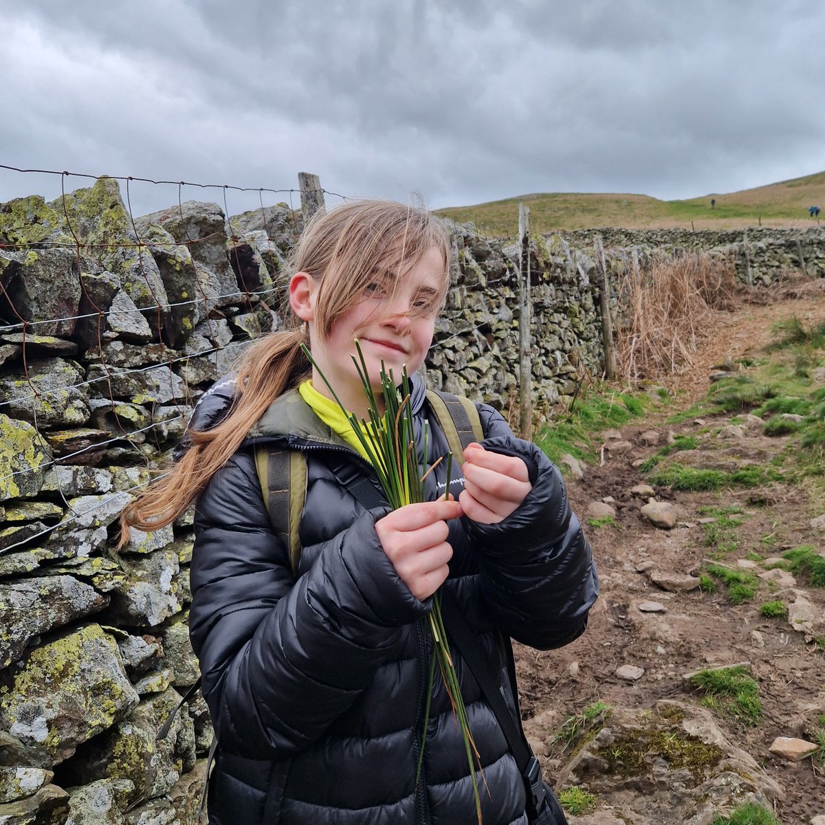 Tasing some reeds on the hillside... 😋