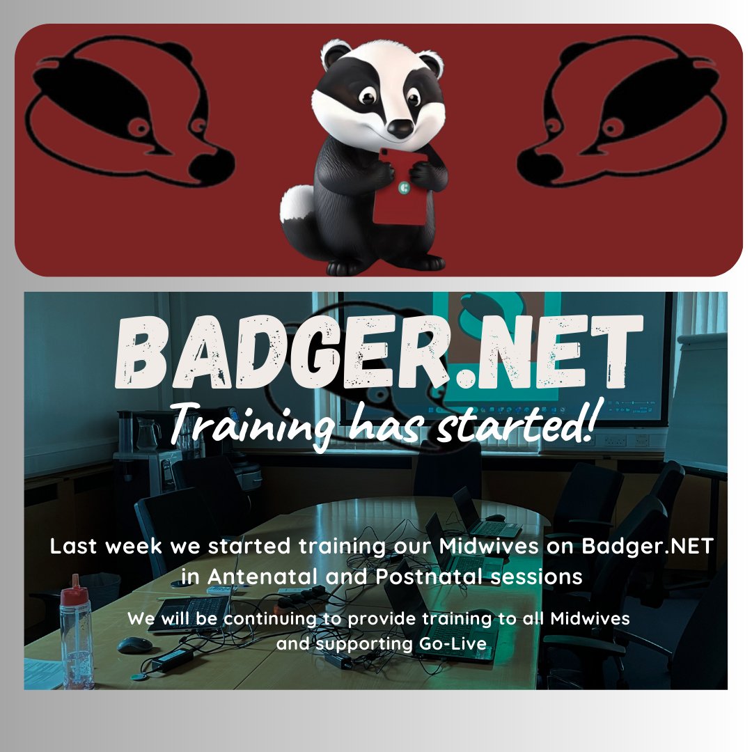 We have started training for our new Maternity system Badger. NET 🦡💻👩‍💻👨‍💻 @barnshospital