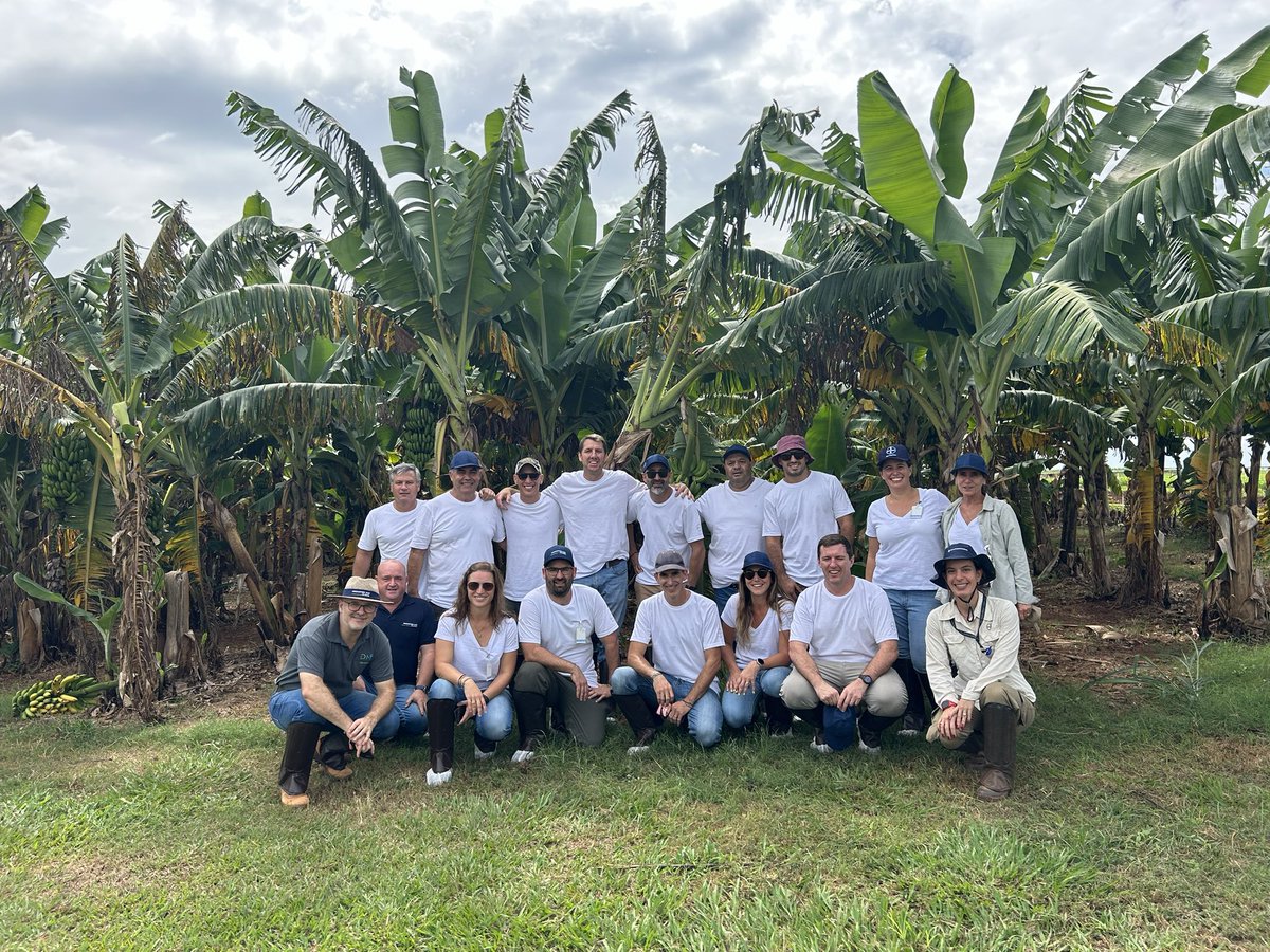 Surcos Consultora. tweet media